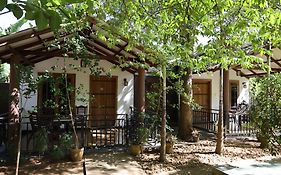 Max Safari Villa